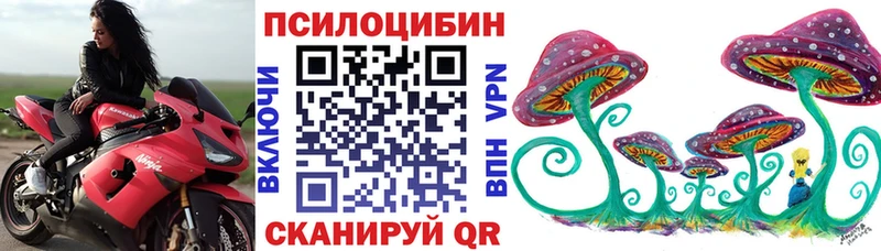 Псилоцибиновые грибы Cubensis Гдов